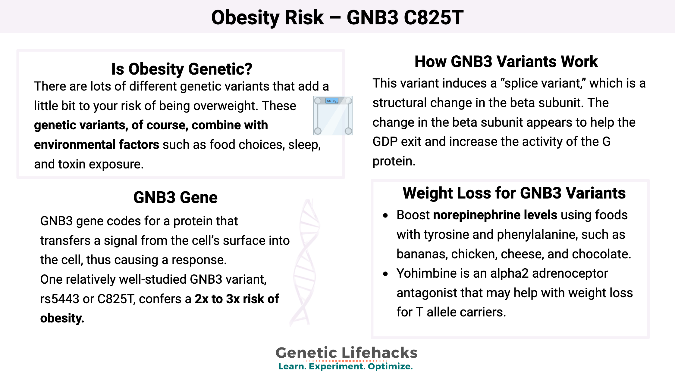Obesity Risk – GNB3 C825T
