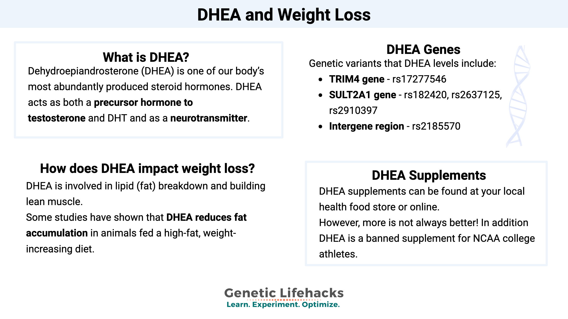 DHEA and Weight Loss