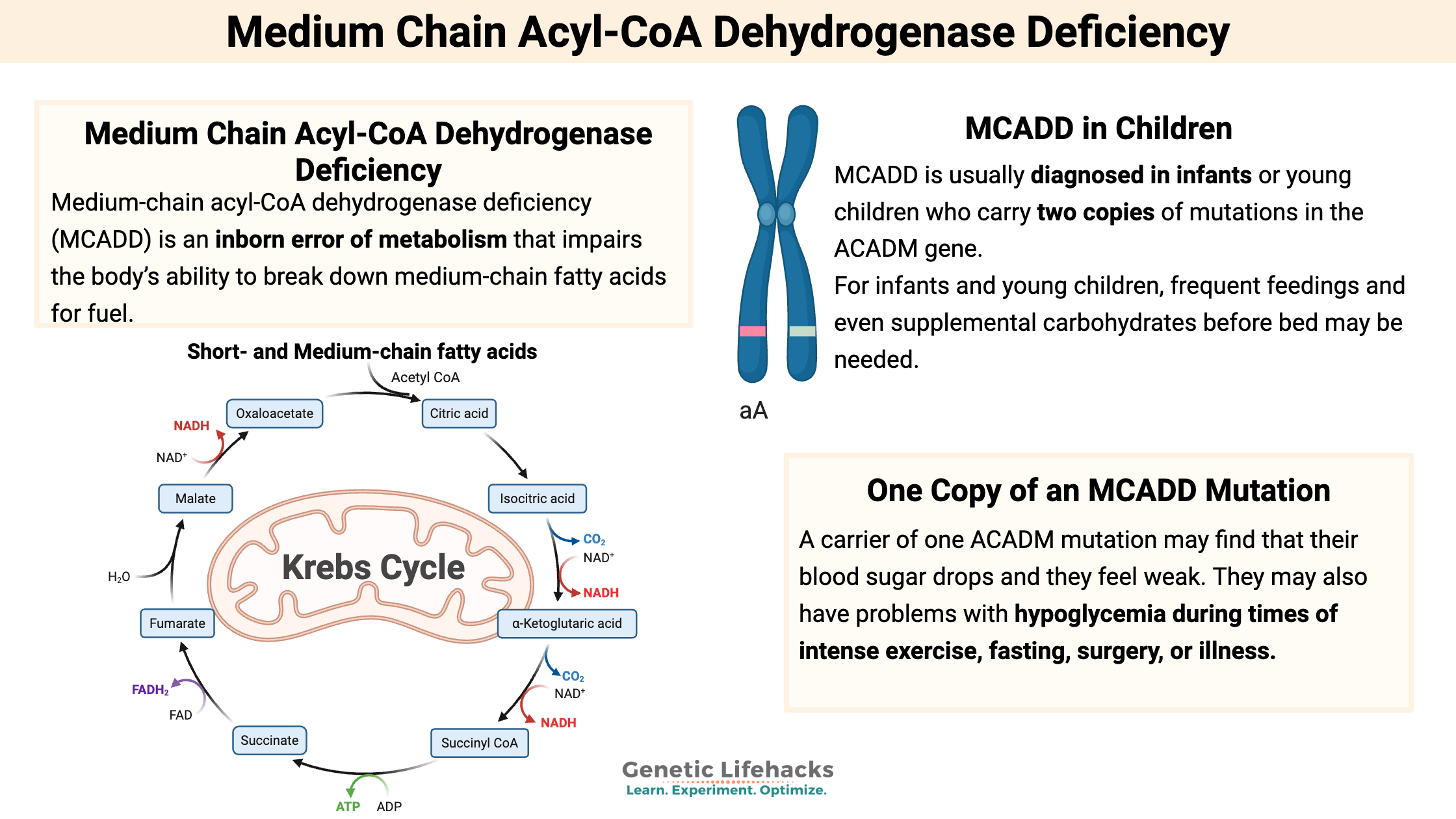 Medium Chain Acyl-CoA Dehydrogenase Deficiency