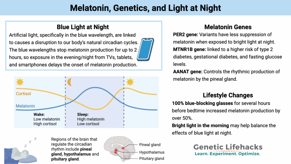 Melatonin, Genetics, and Light at Night
