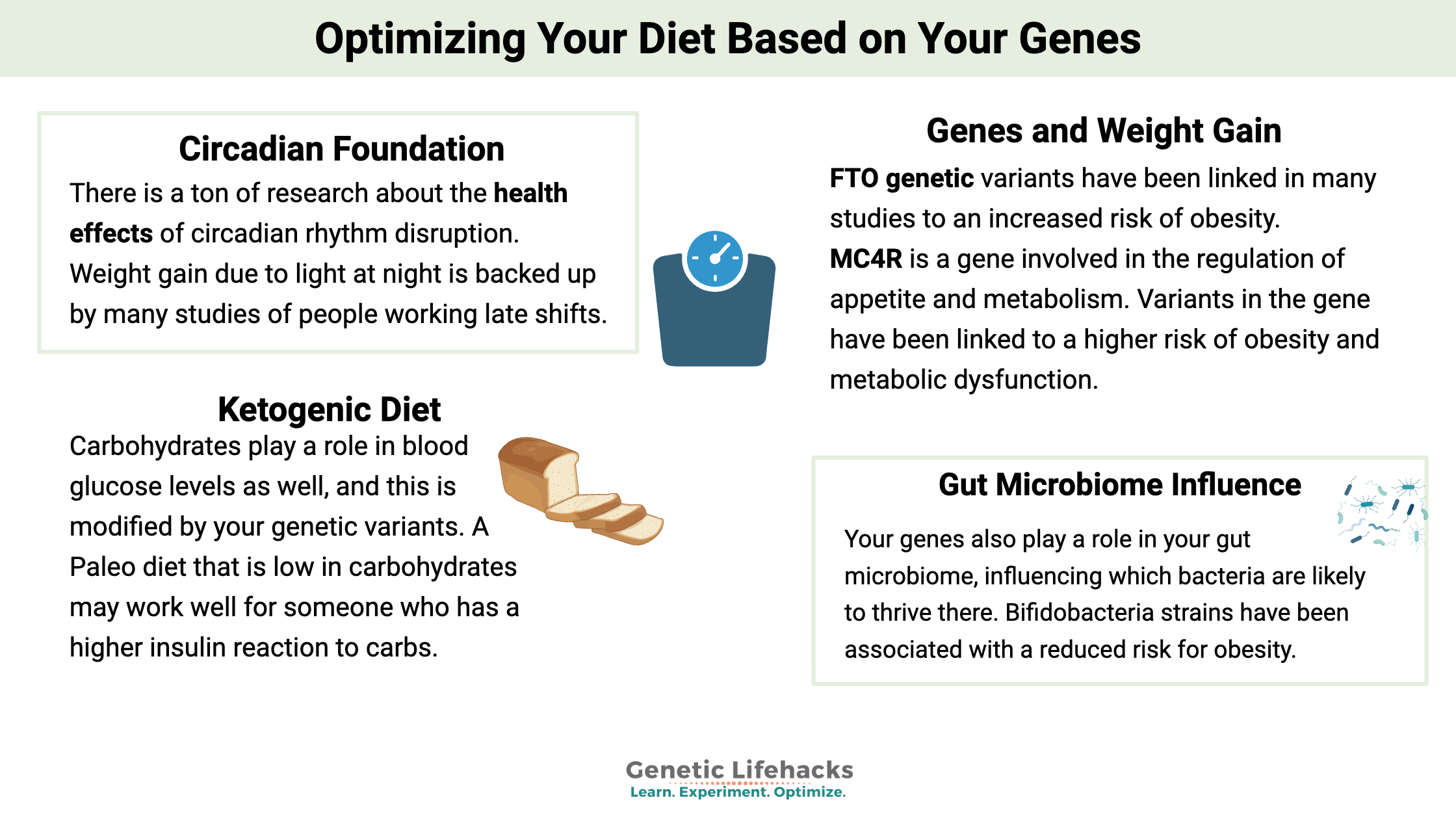 Optimizing Your Diet Based on Your Genes