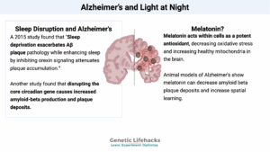 Alzheimer’s and Light at Night, circadian disruption and Alzheimer's
