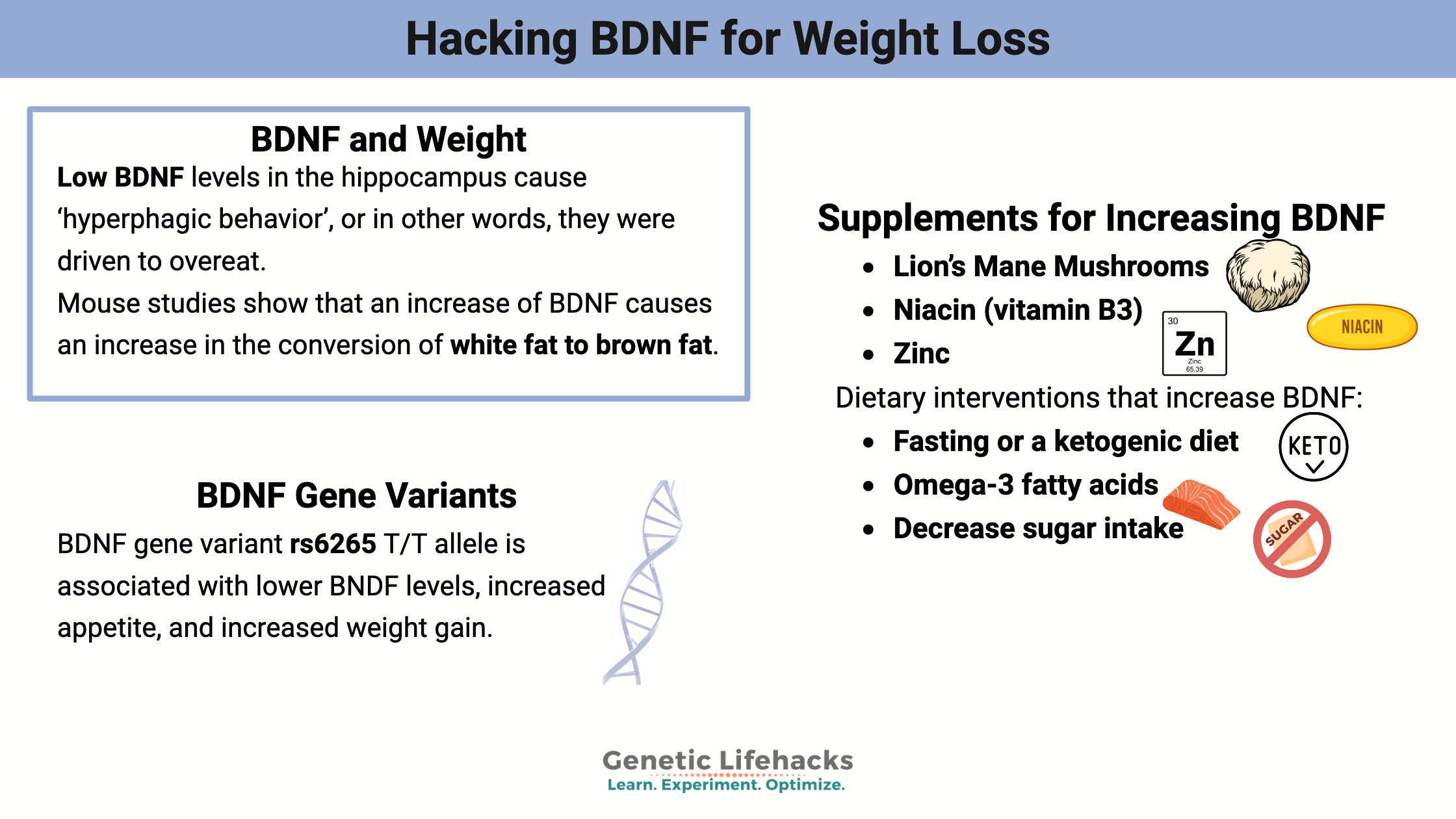 Hacking BDNF for Weight Loss