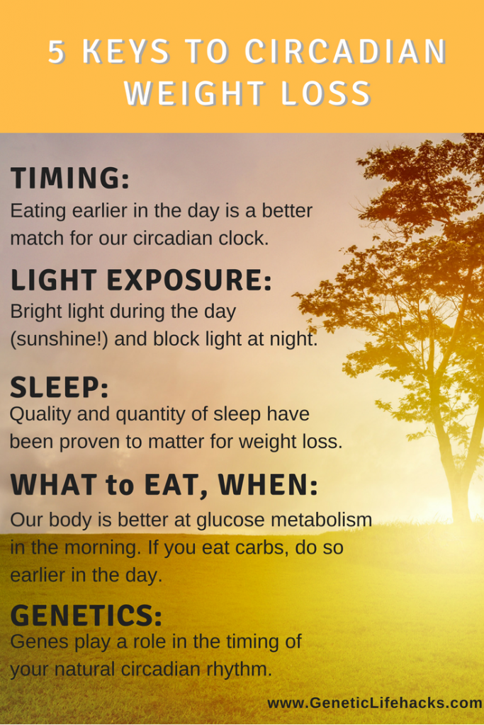 Circadian rhythm meal timing