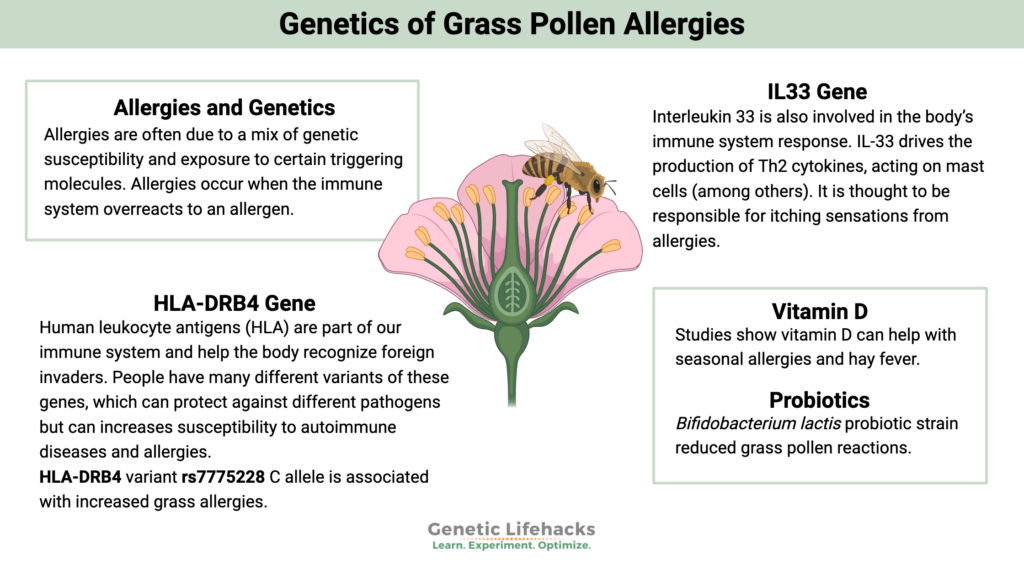 Genetics of Grass and Pollen Allergies