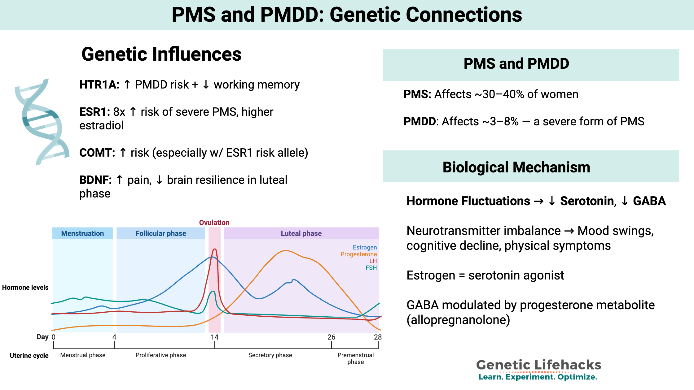 PMS and PMDD Genetic SNPs and Solutions created with biorender