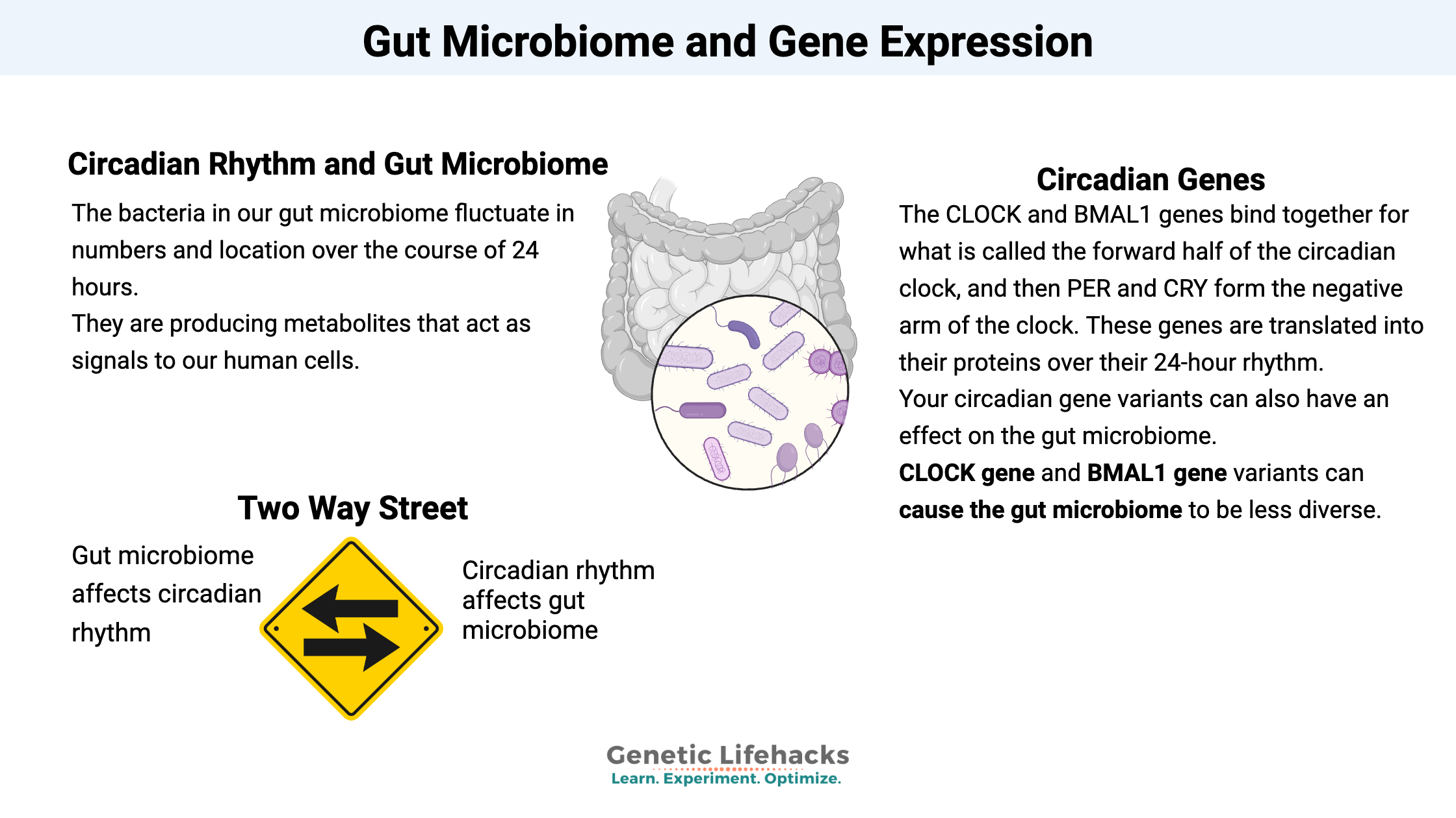 Gut Microbiome and Gene Expression