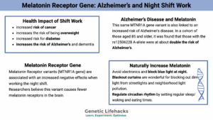 Melatonin Receptor Gene: Alzheimer’s and Night Shift Work