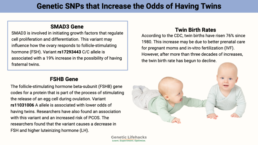 How to Increase Your Chances of Having Twins - Key Factors ...