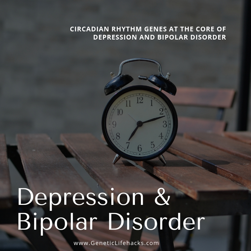 Bipolar disorder, depression, and circadian clock genes Lifehacks