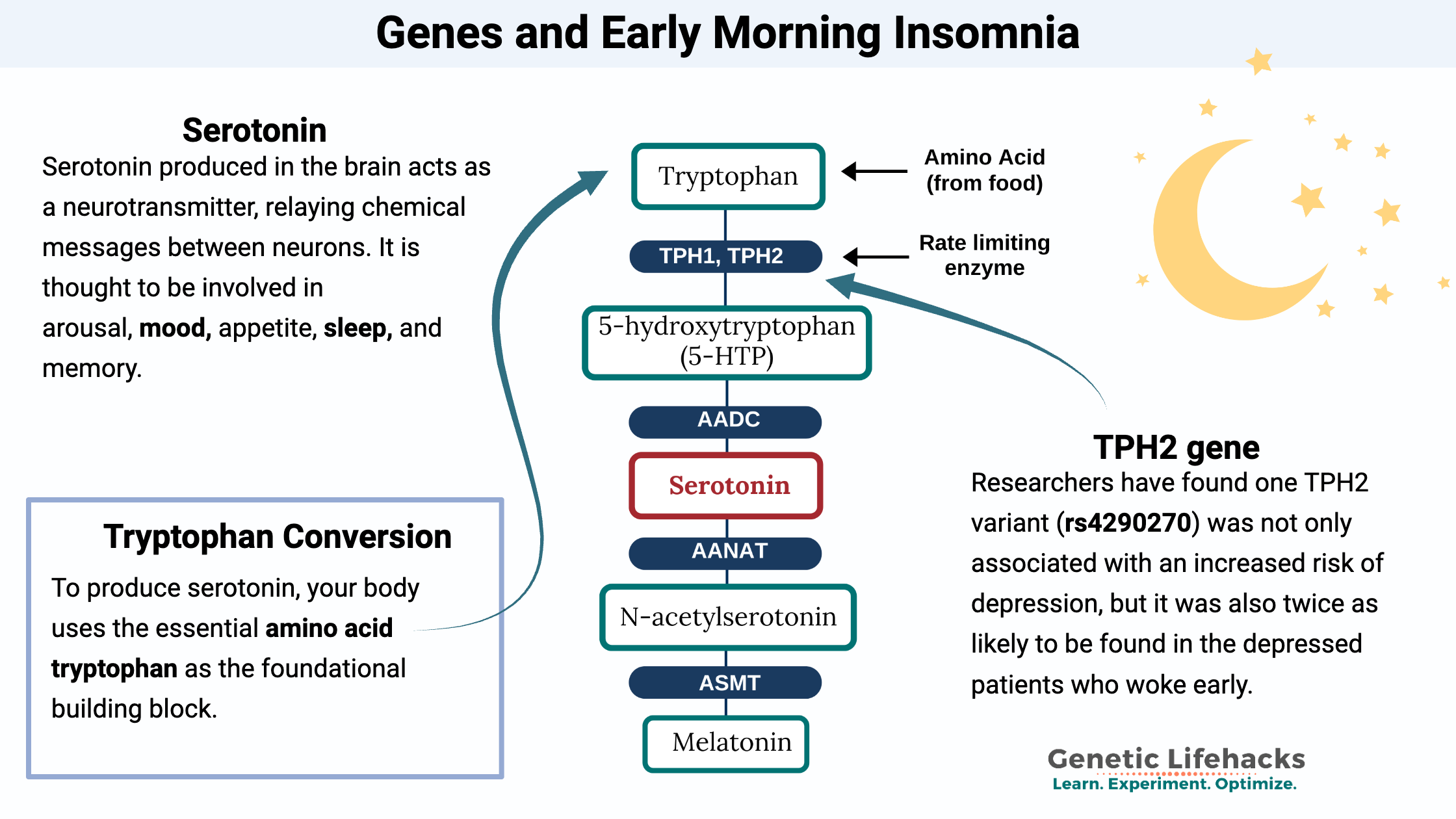 Genes and Early Morning Insomnia