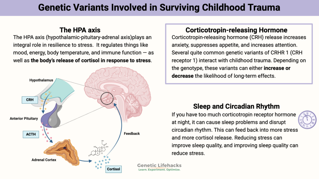 Genetic Variants Involved in Surviving Childhood Trauma