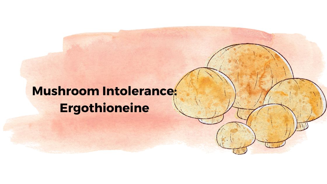 Mushroom intolerance Ergothioneine and the OCTN1 gene Lifehacks
