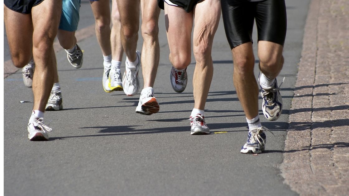 Actn3 Your Muscle Type Gene Genetic Lifehacks Actn3 Your Muscle Type Gene Genetic Lifehacks