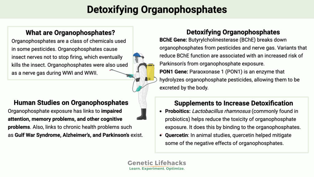 Detoxifying Organophosphates