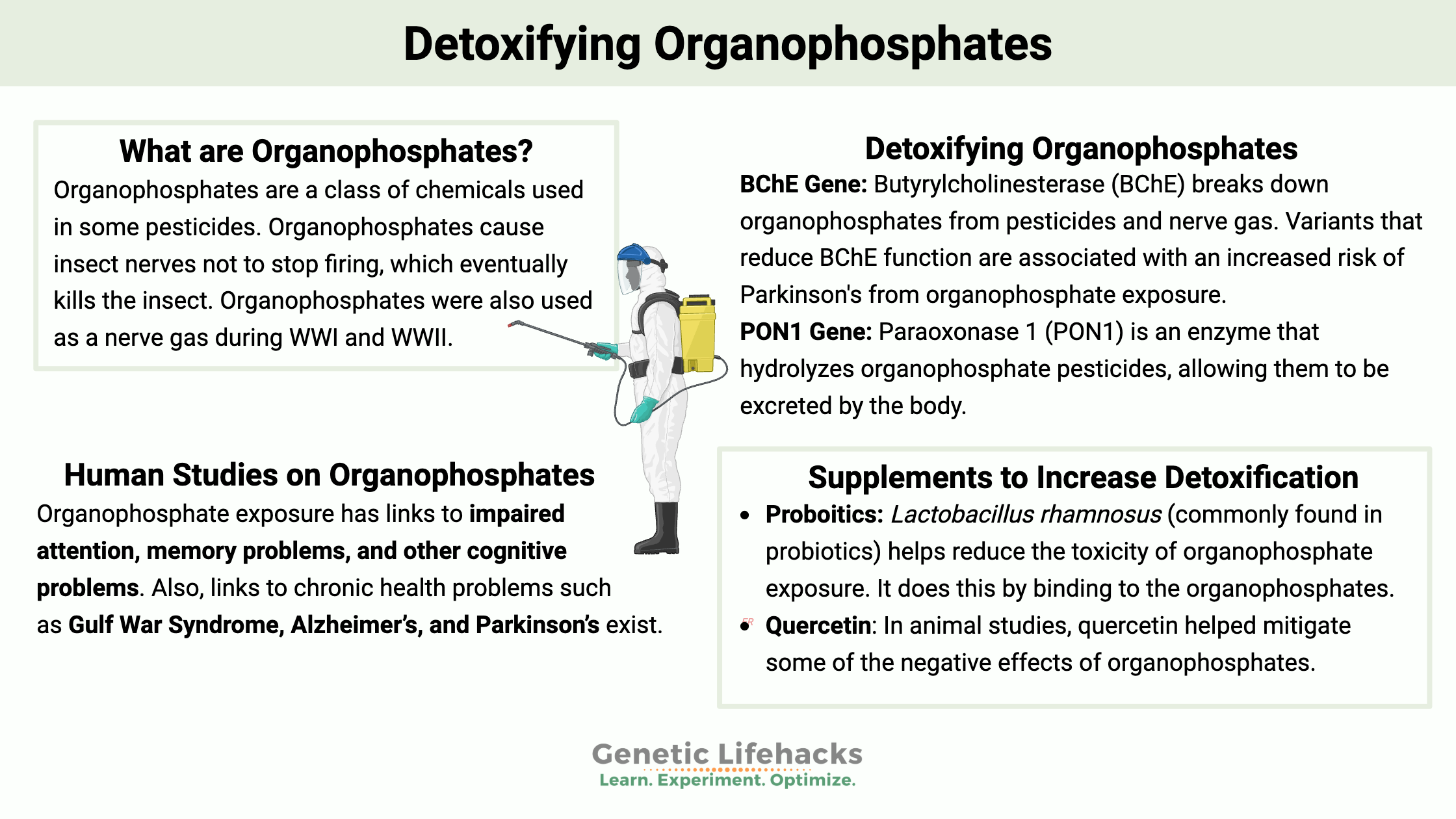 Detoxifying Organophosphates