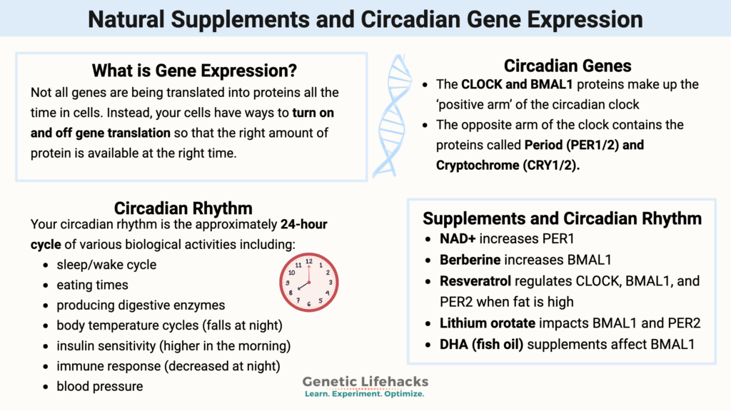 Natural Supplements and Circadian Gene Expression