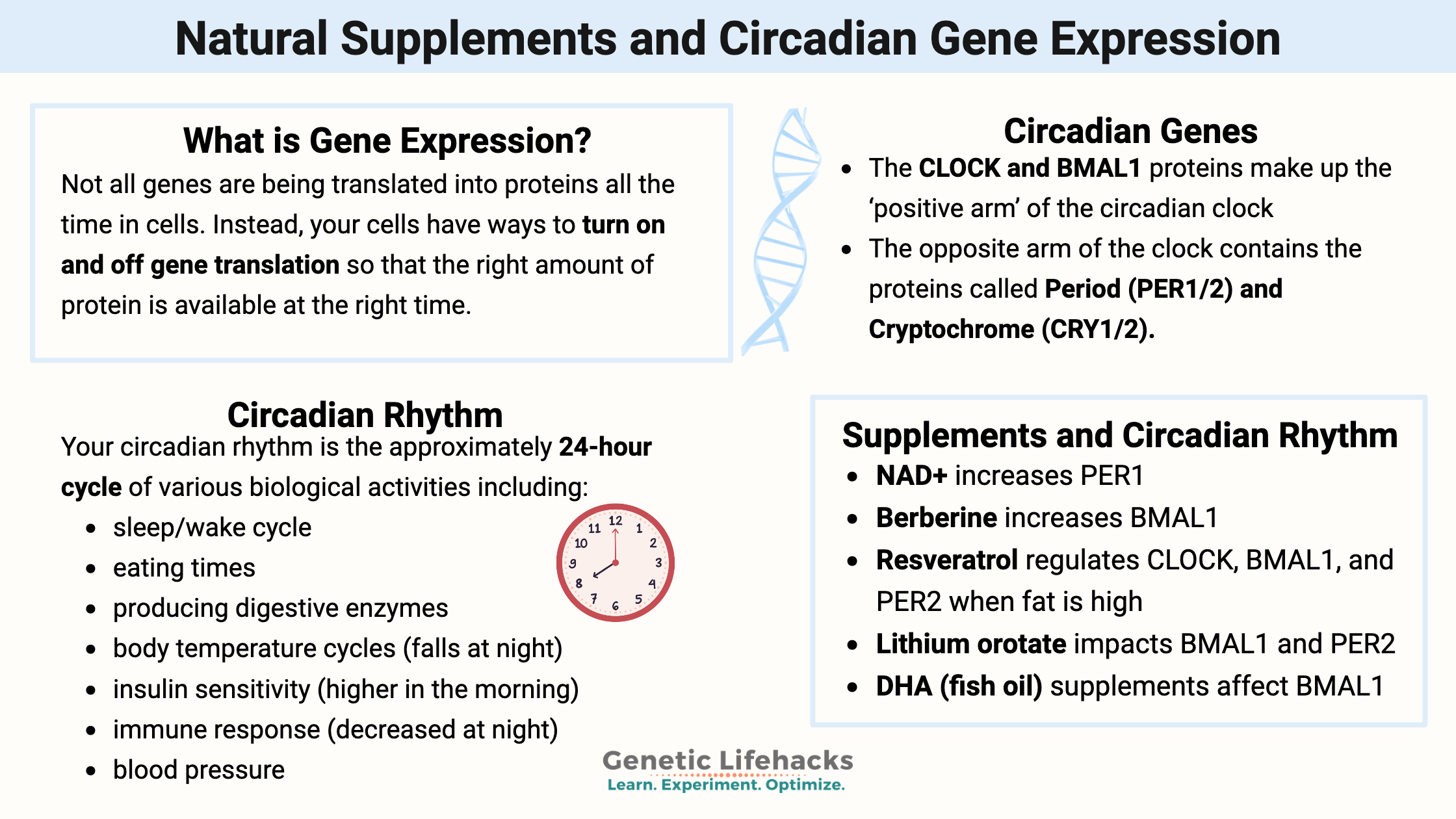 Natural Supplements and Circadian Gene Expression