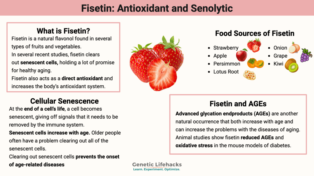 Fisetin: Antioxidant and Senolytic