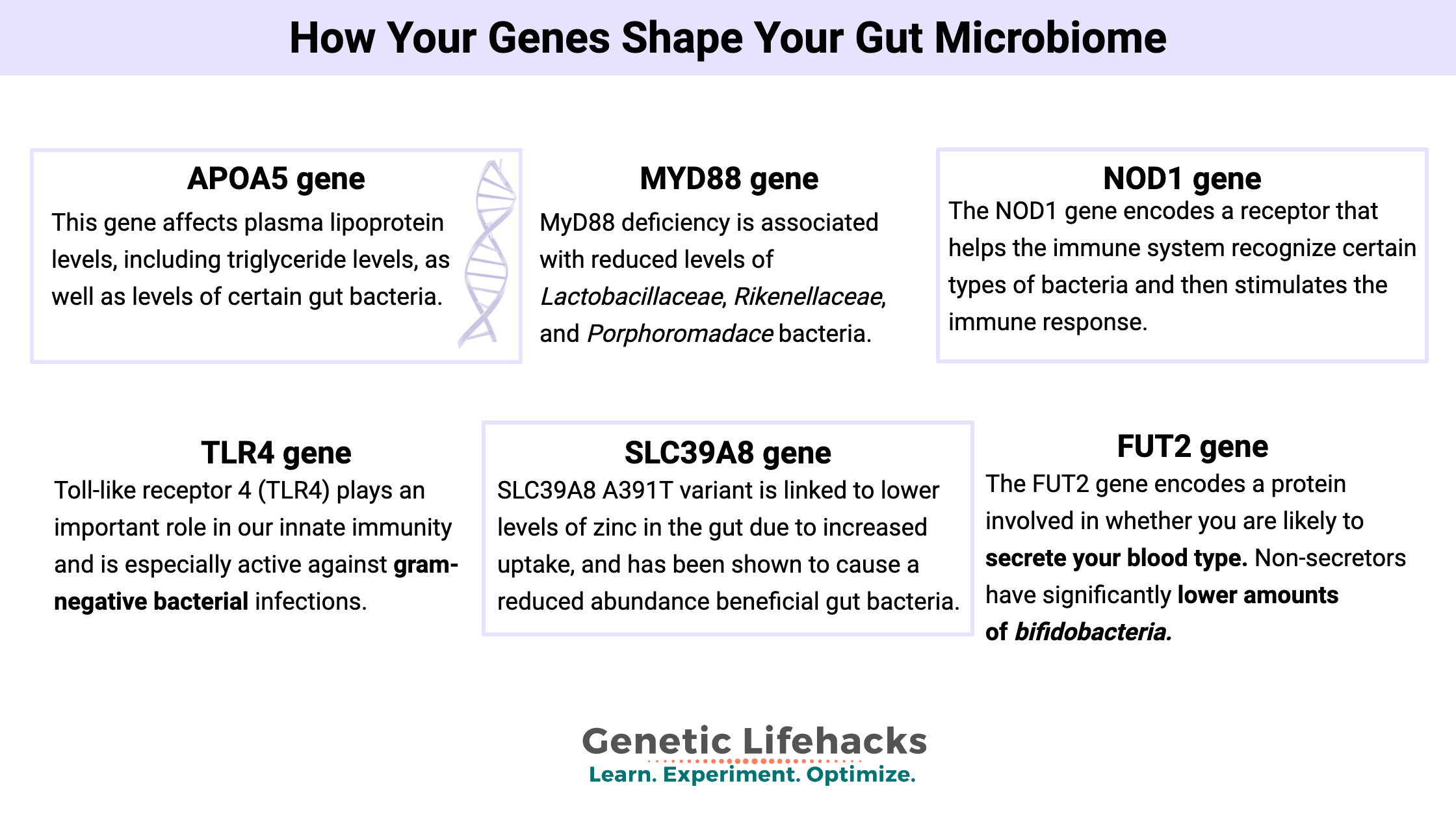 How Your Genes Shape Your Gut Microbiome