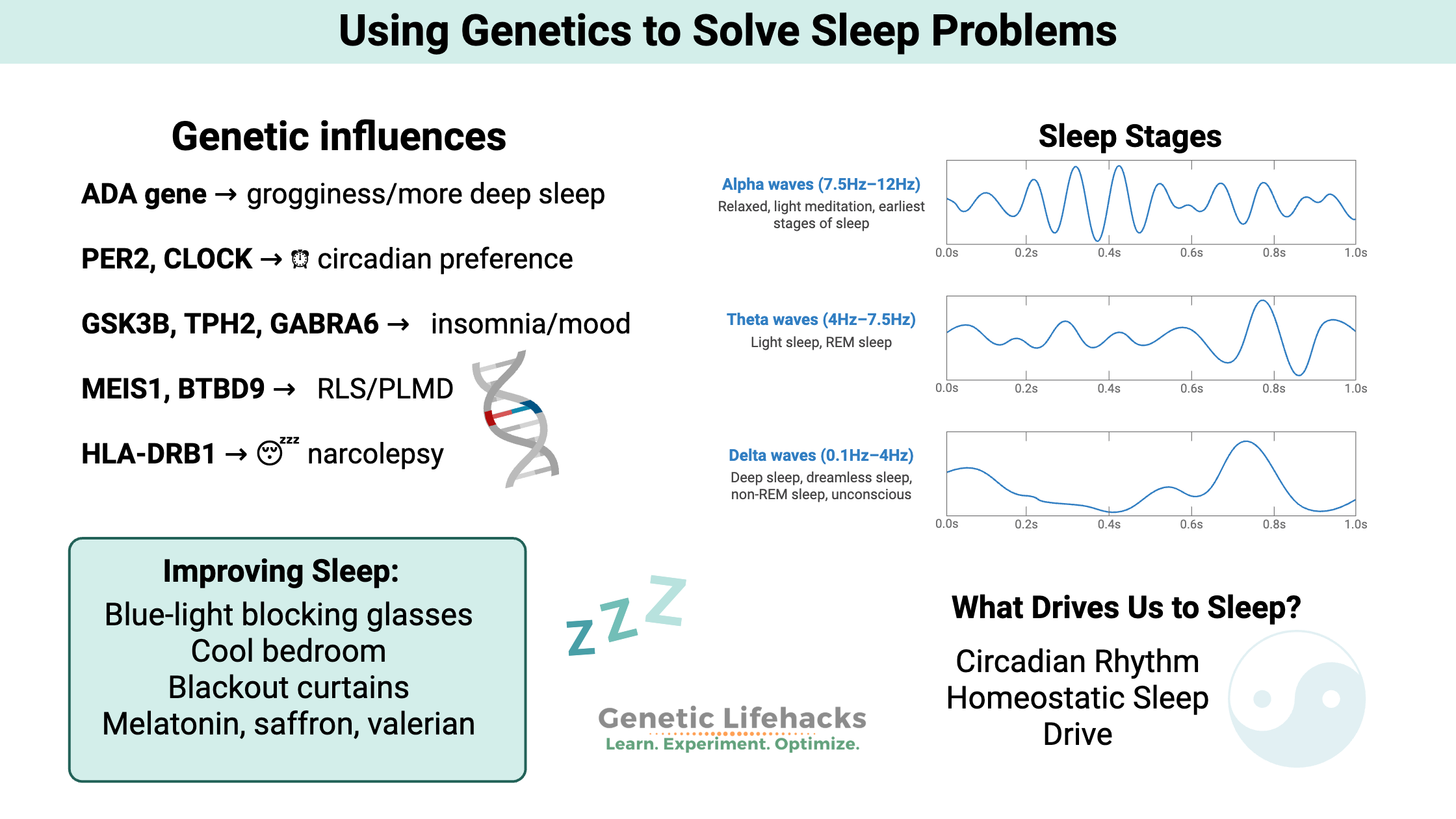 Using Genetics to Solve Sleep Problems