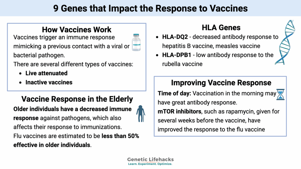 9 Genes that Impact the Response to Vaccines