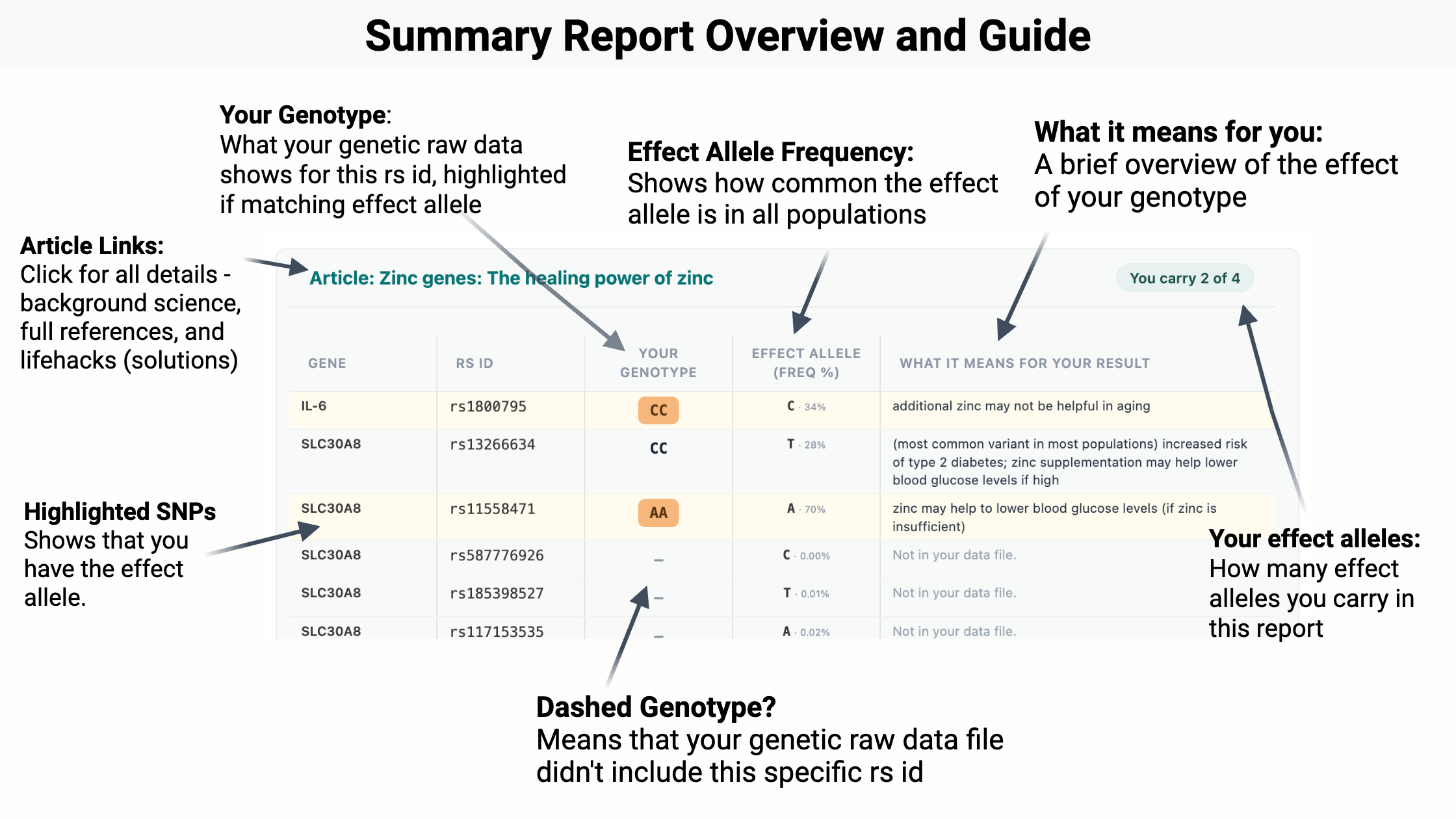 Genetic Lifehacks Topic Summary Reports