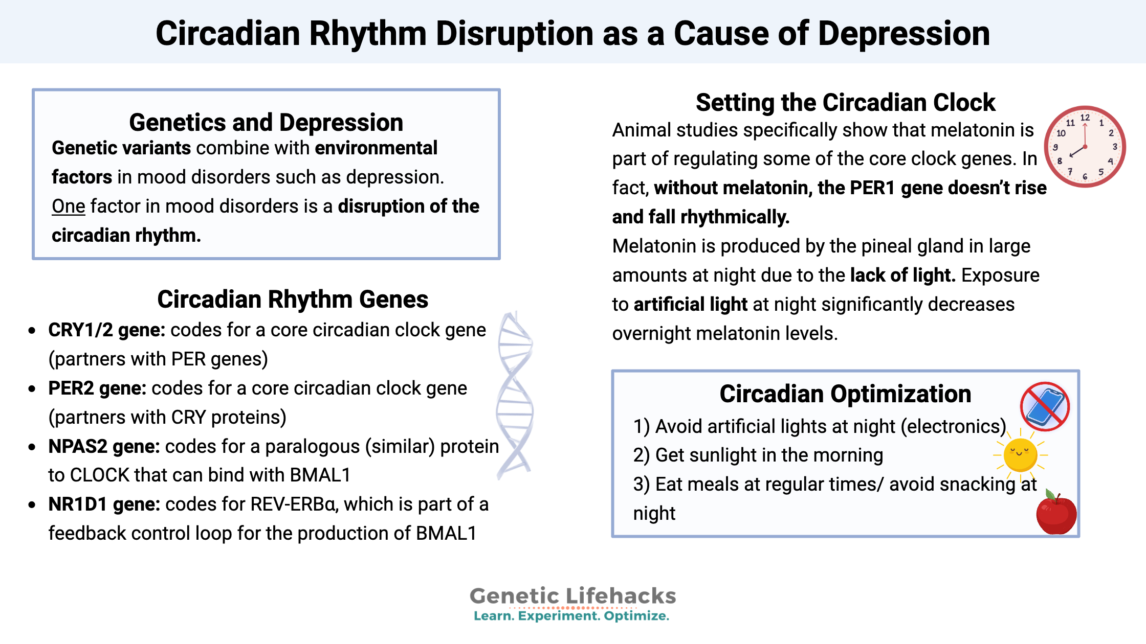 Circadian Rhythm Disruption as a Cause of Repression