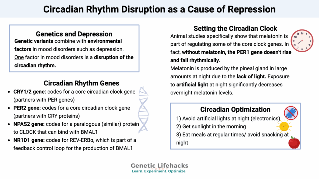 Circadian Rhythm Disruption as a Cause of Repression