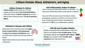 Lithium Orotate: Mood, Alzheimer’s, and Aging