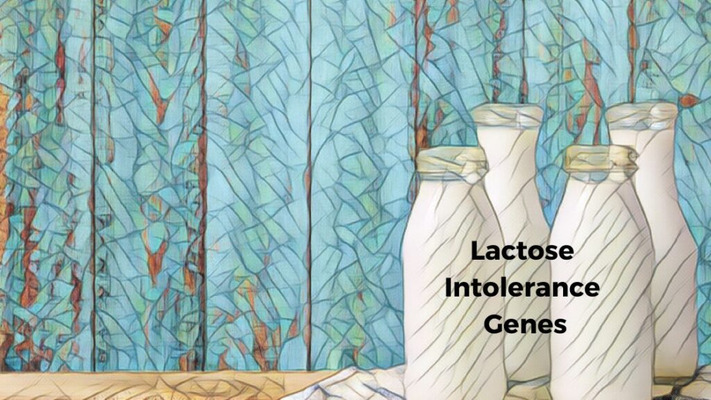 Lactose Intolerance Genes
