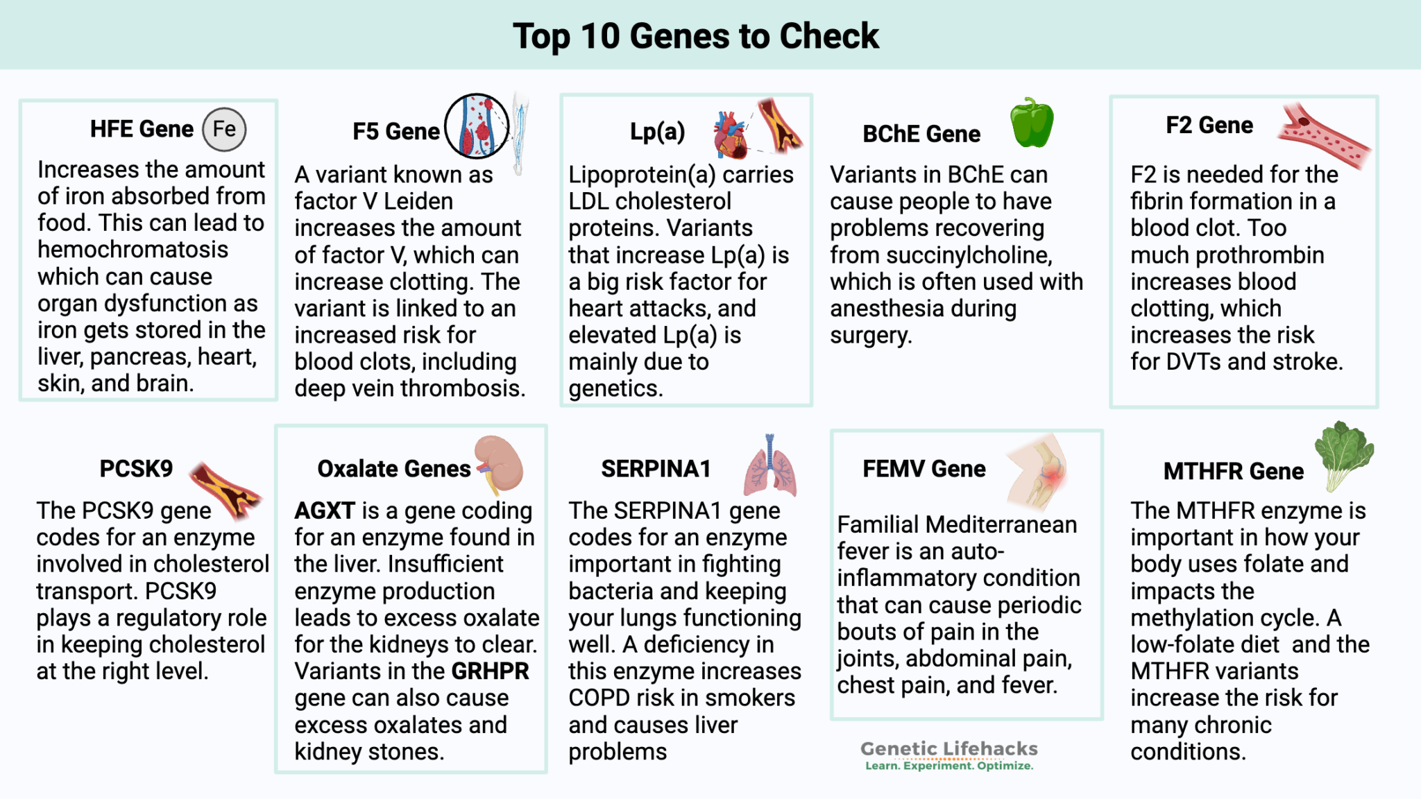 Genetic Diseases and Disease Prevention