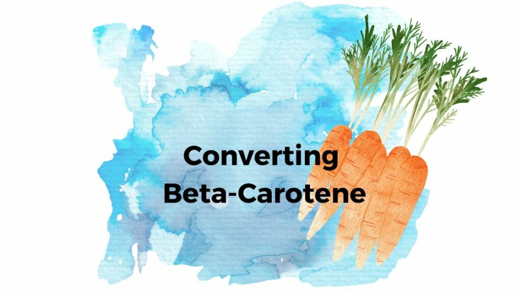BCO1 Gene Converting BetaCarotene to Vitamin A