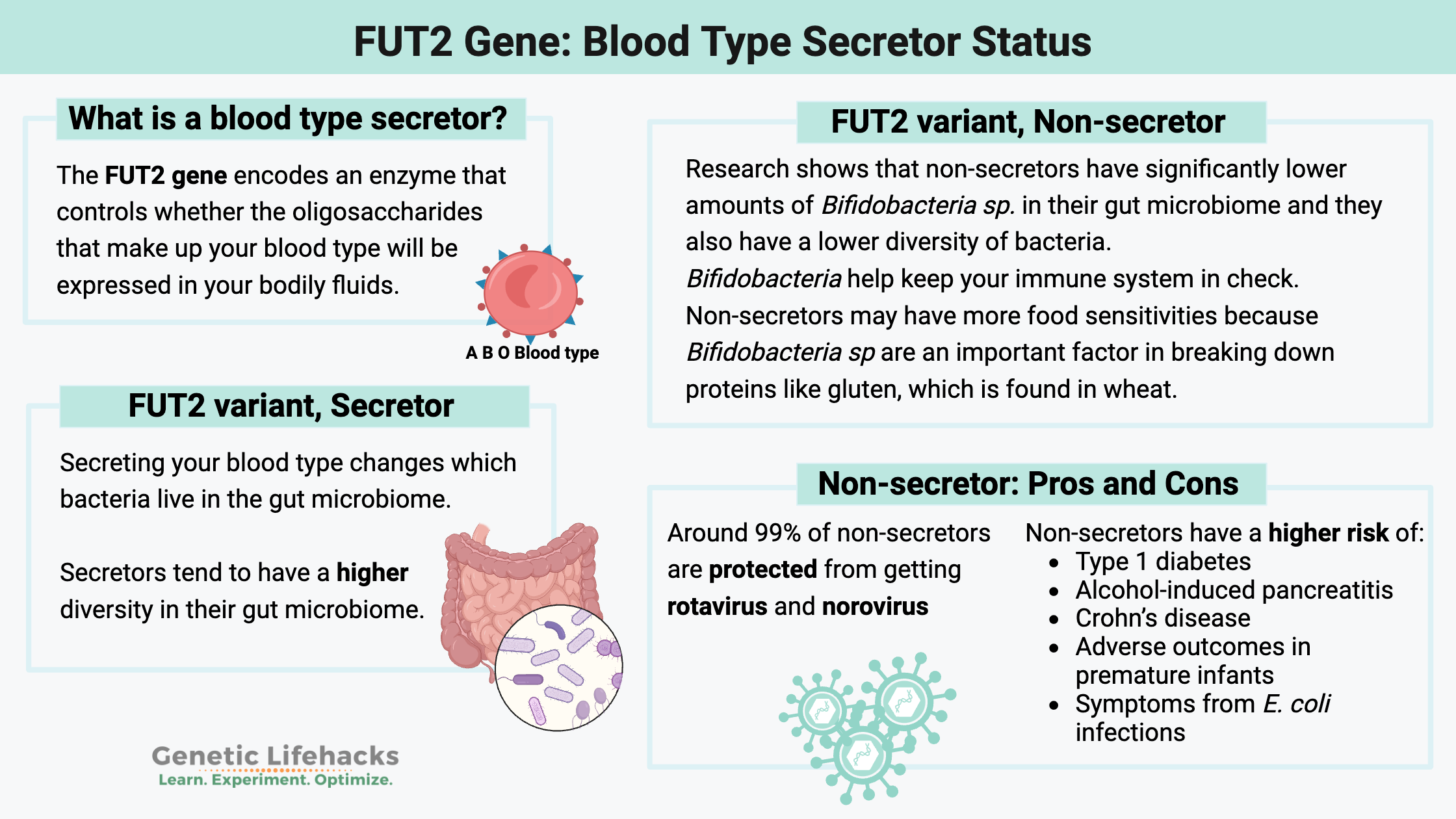 Secretor or Non-secretor? How to check your genes