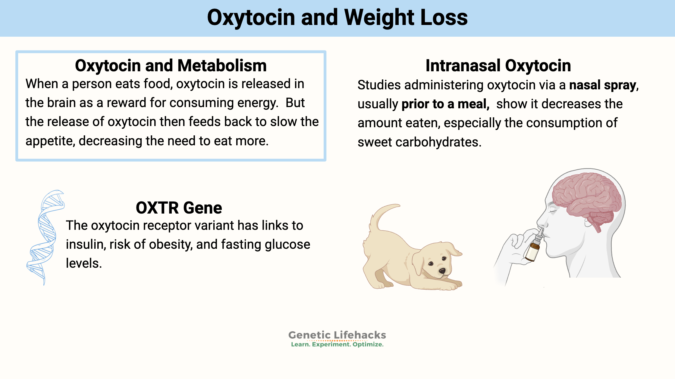 Oxytocin and Weight Loss, OXTR Gene