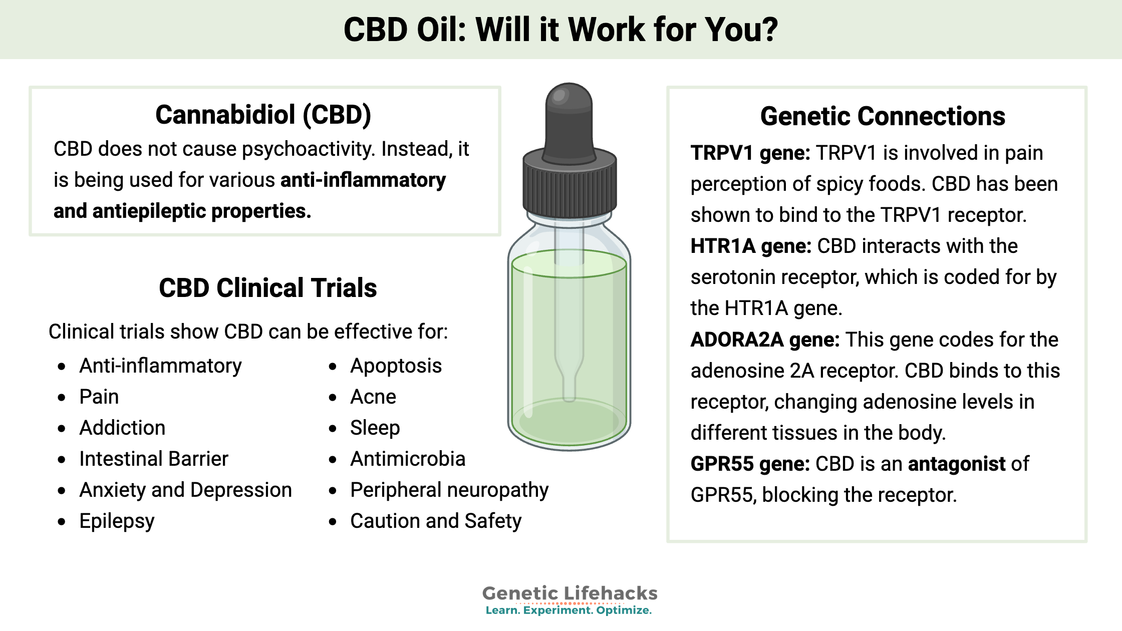 CBD Oil: Will it Work for You?