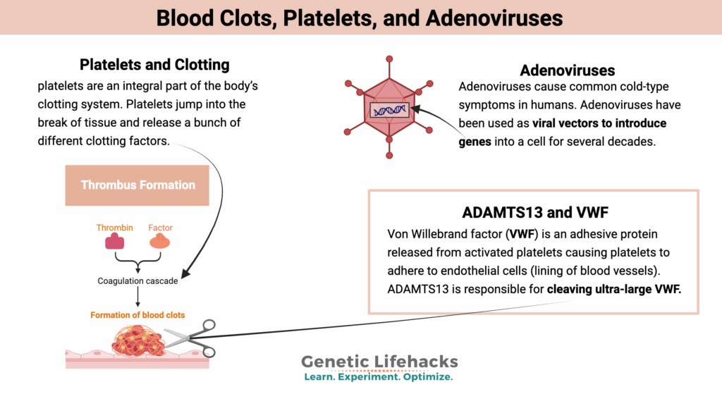 Blood Clots, Platelets, and Adenoviruses