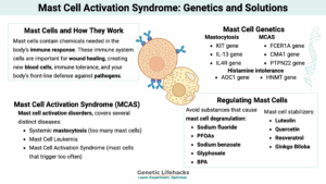 Mast cell activation syndrome genetics and solutions