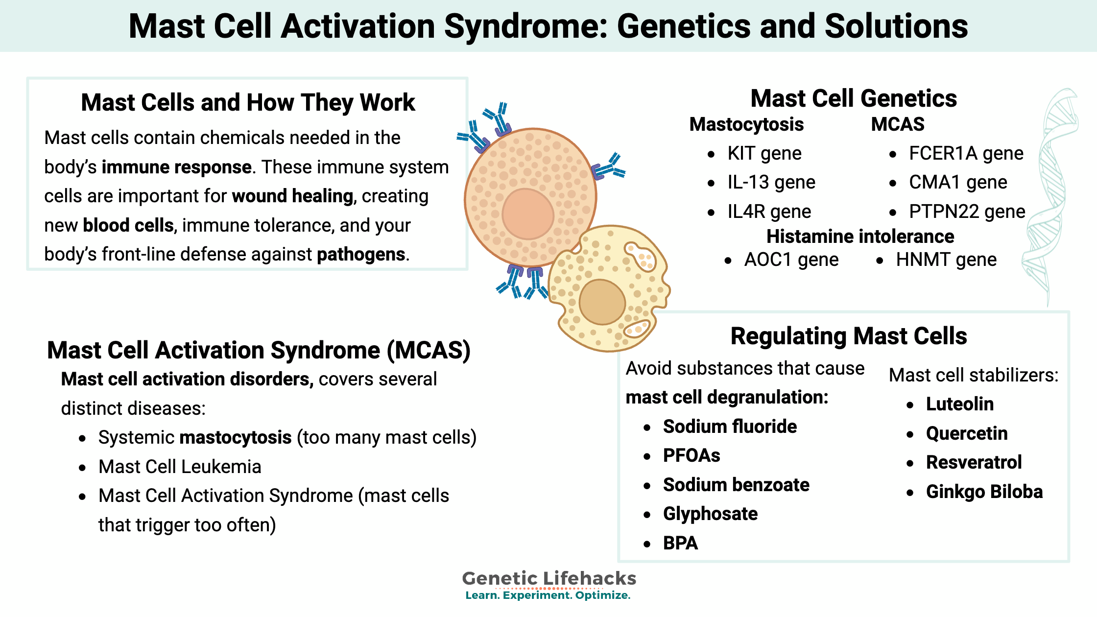 Mast cell activation syndrome genetics and solutions