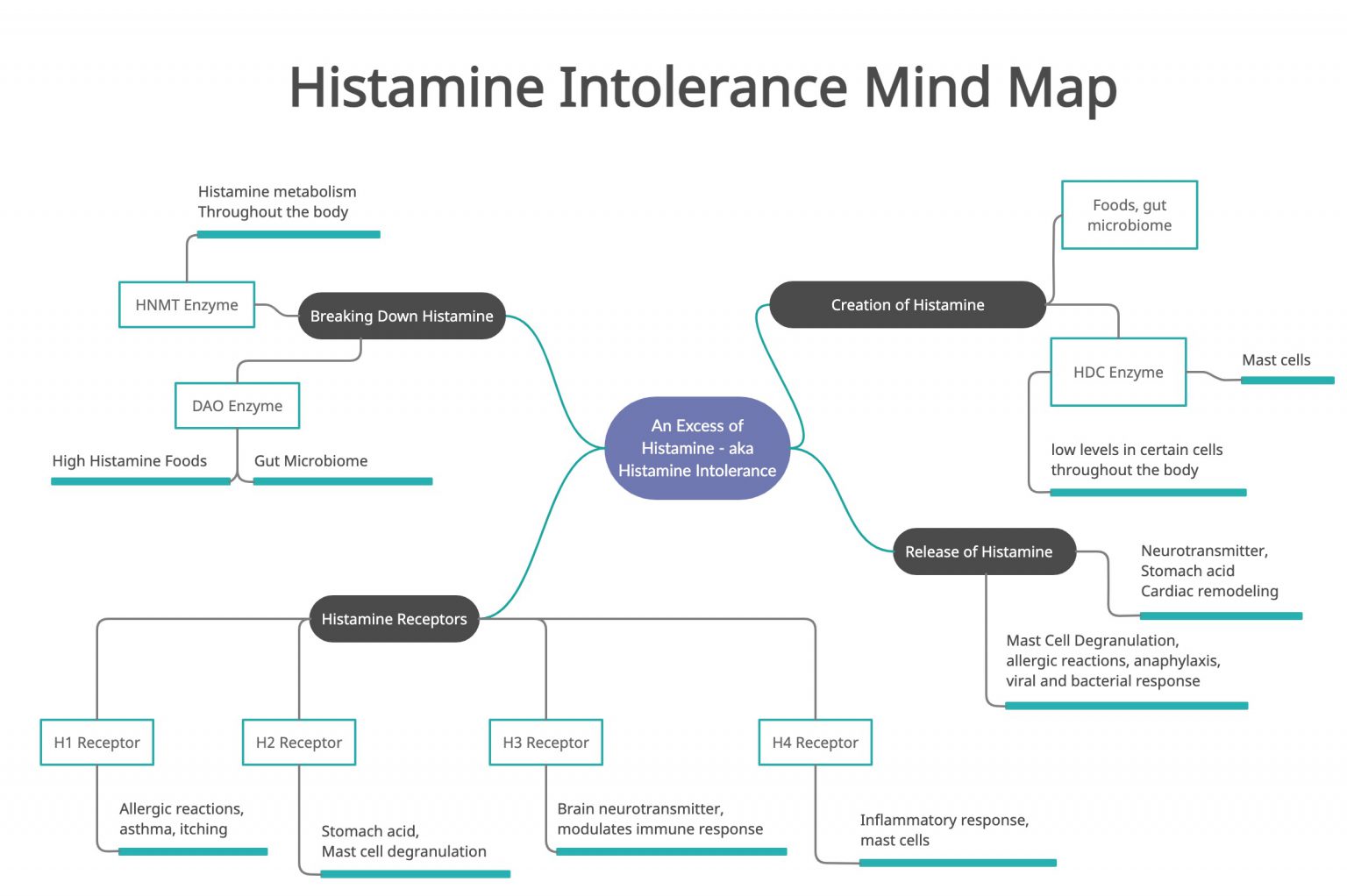 Histamine Intolerance Understanding Genes, Managing Symptoms