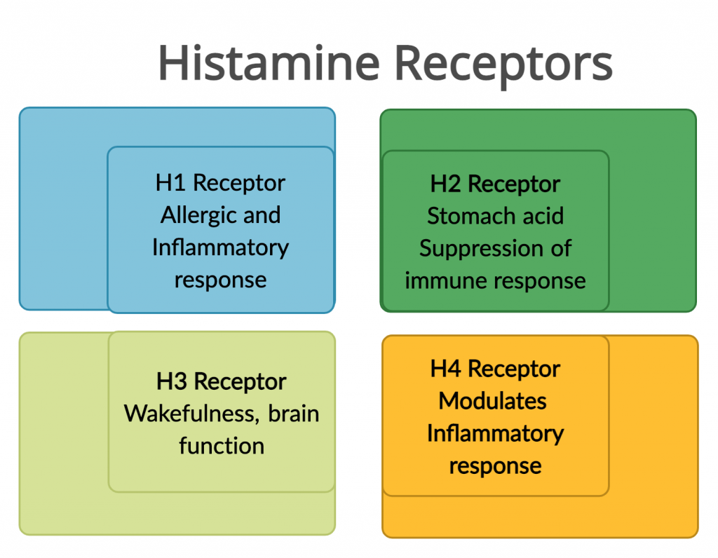 Histamine Intolerance Understanding Genes, Managing Symptoms