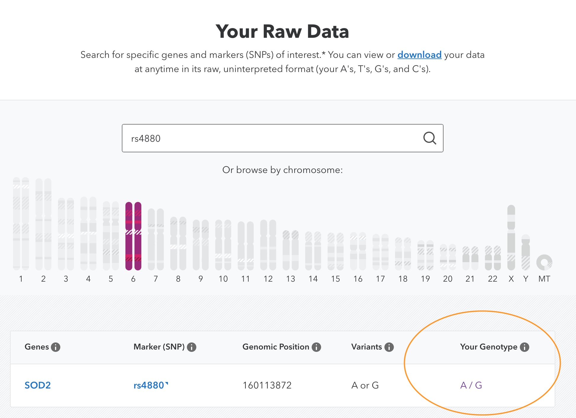 screenshot showing rs id lookup on 23andme
