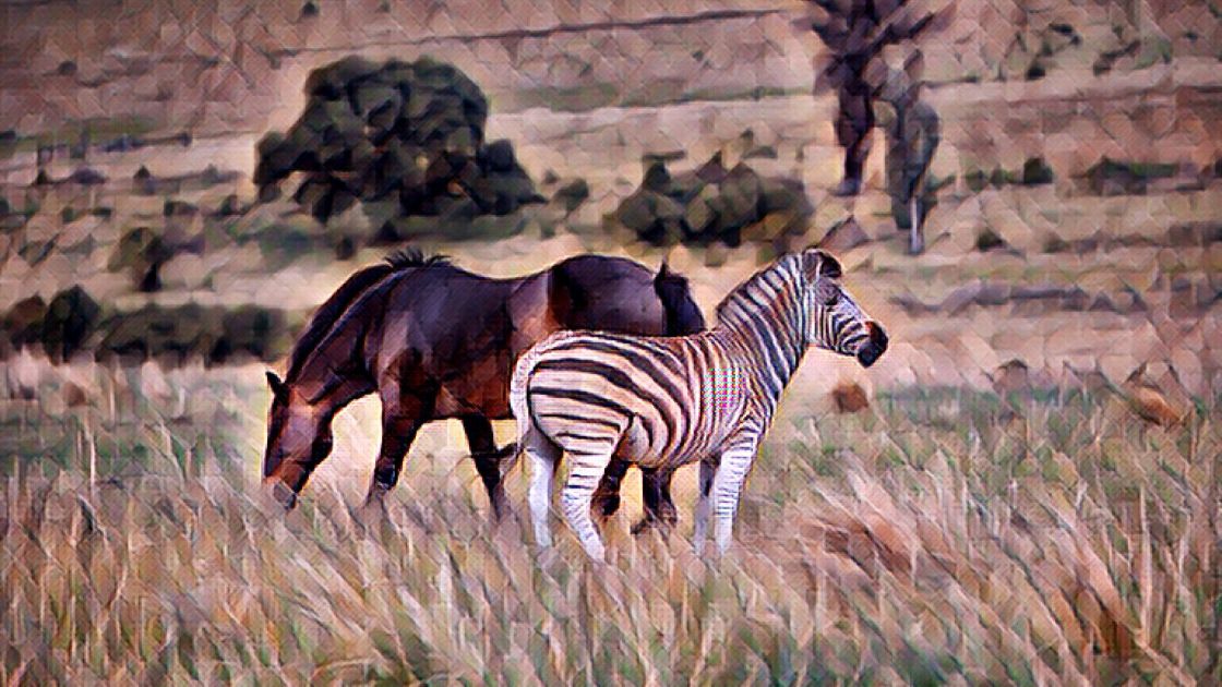 Ehlers-Danlos syndrome
