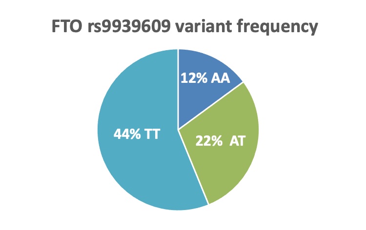 FTO variant frequency is 12% for two copies of BMI increasing allele