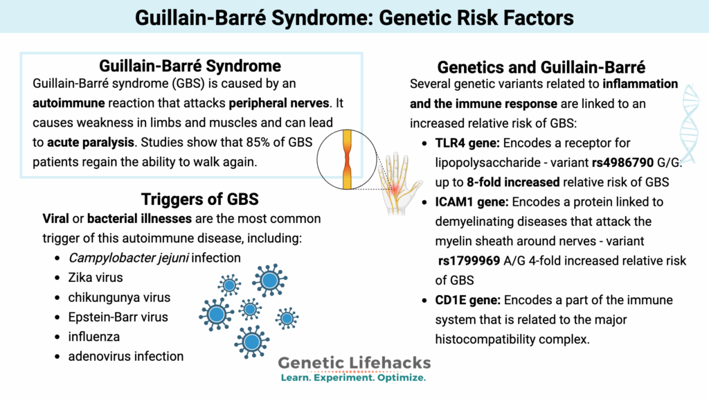 Guillain-Barré Syndrome: Genetic Risk Factors