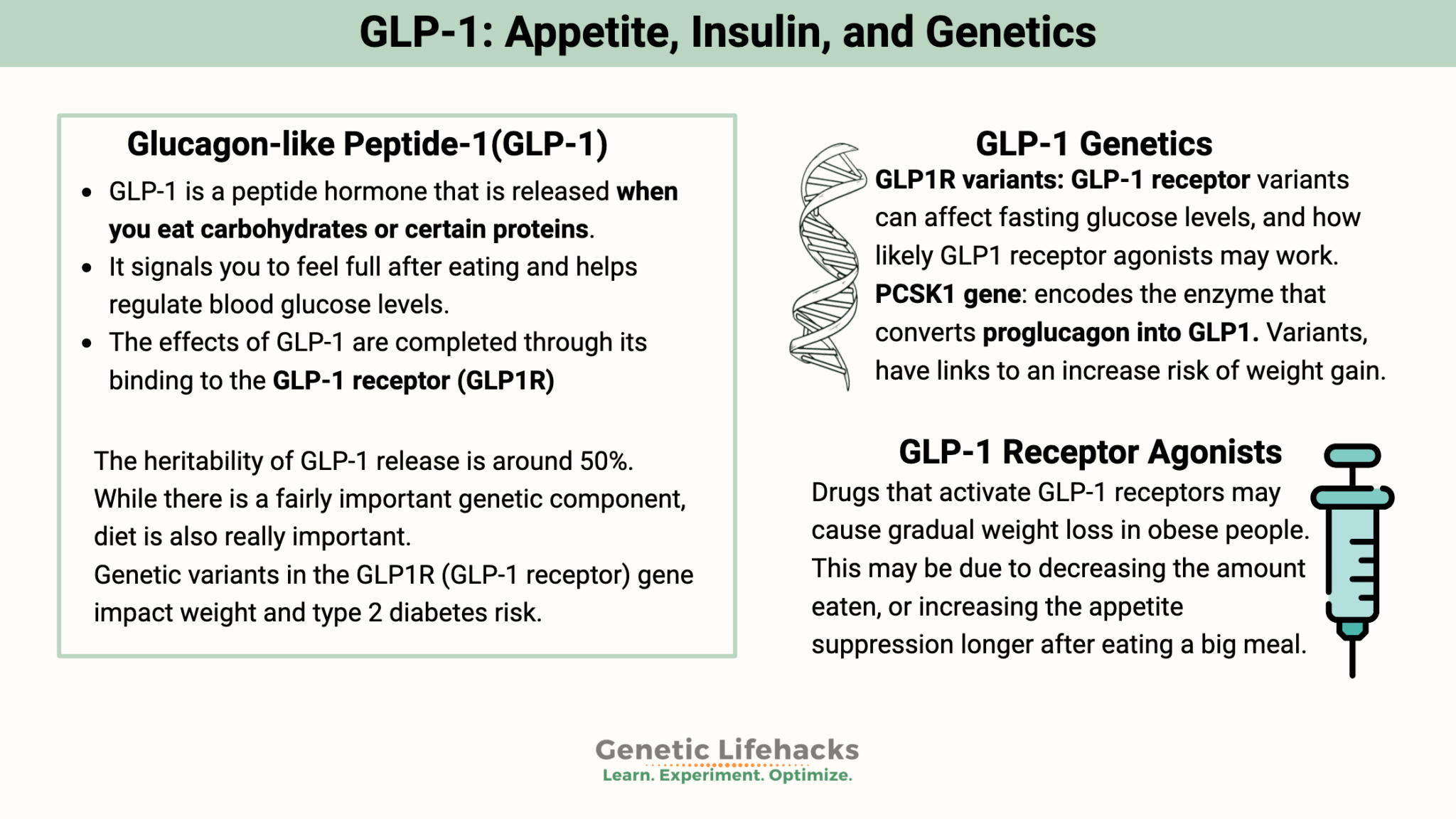 Image showcasing GLP-1: Appetite, Insulin, and Genetics