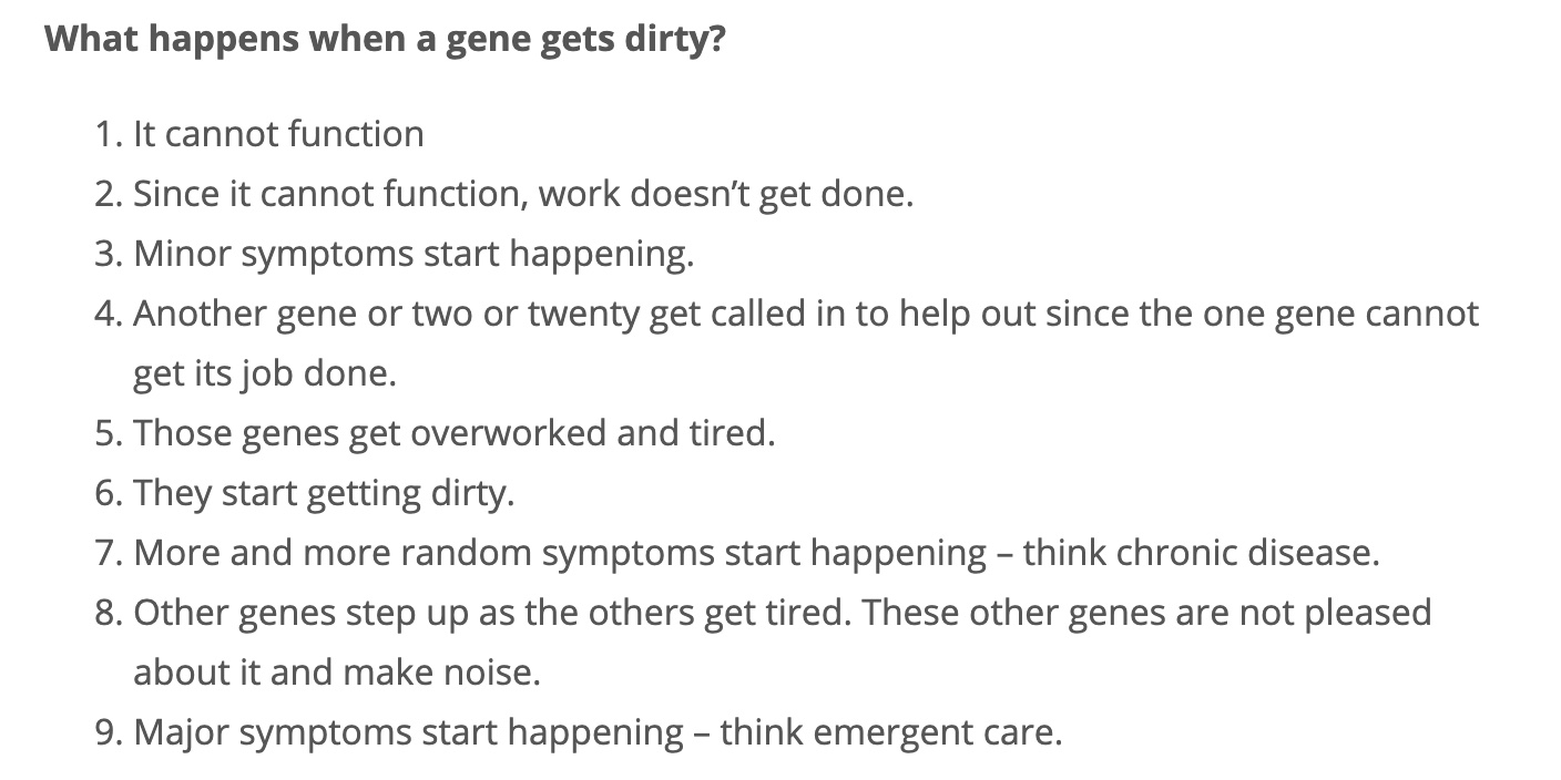 screenshot of dirty genes explanation from Dr. Lynch's website