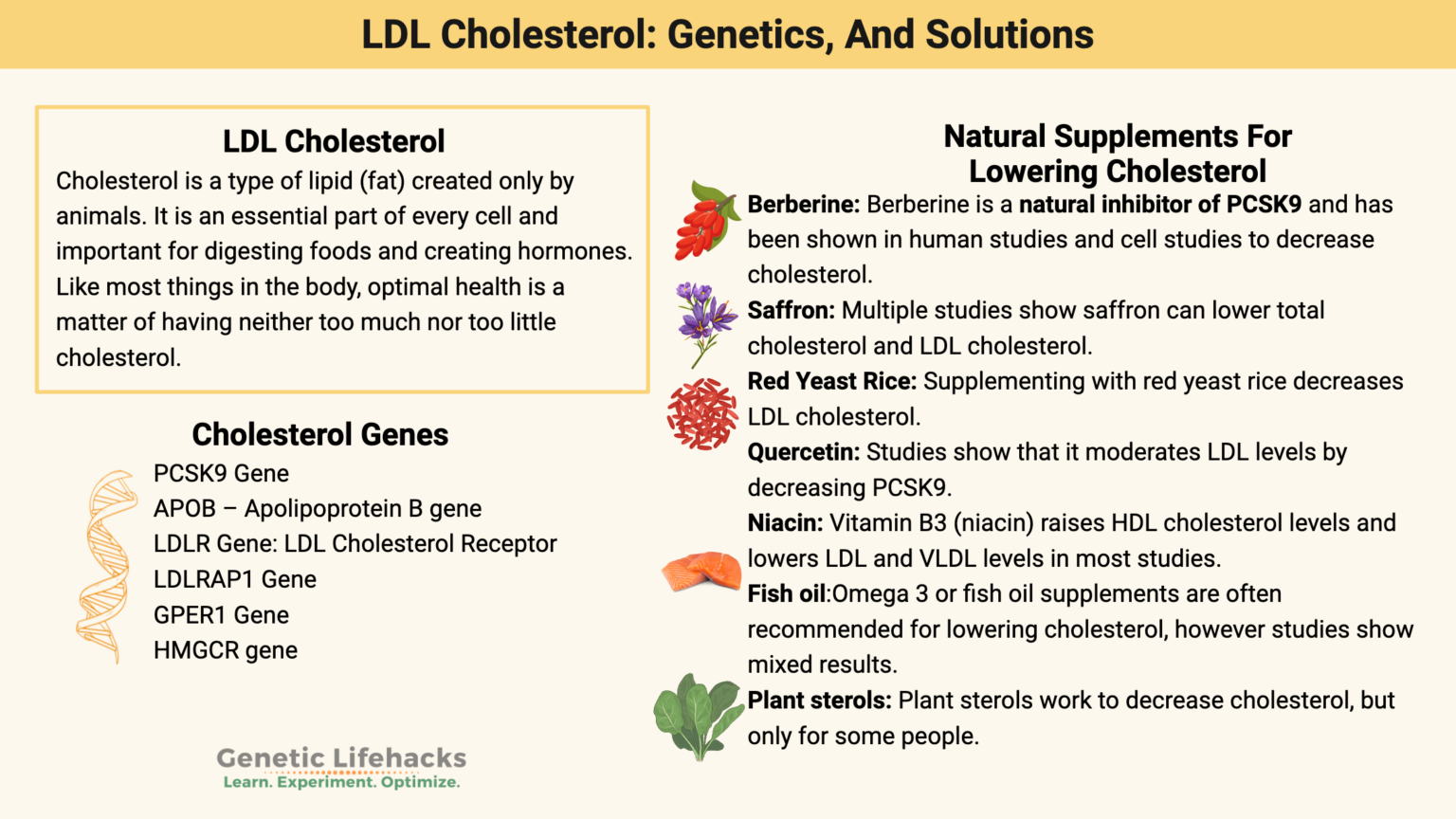 Cholesterol & Lipids