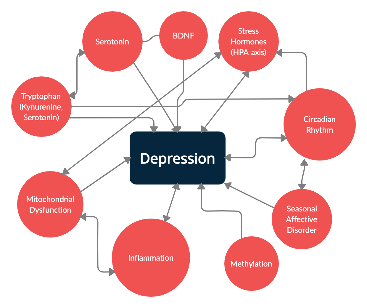 Flow diagram of multiple causes of depression linked to genetics