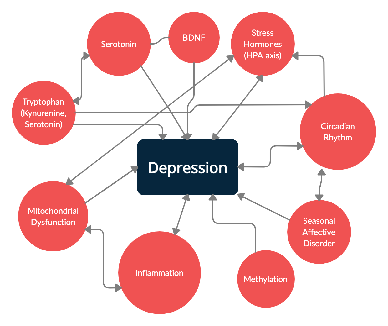 what do researchers think causes depression